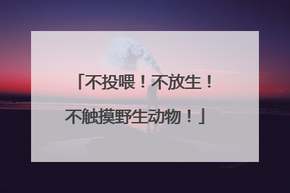 不投喂！不放生！不触摸野生动物！
