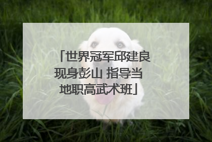 世界冠军邱建良现身彭山 指导当地职高武术班