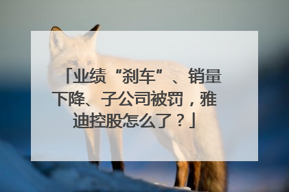 业绩“刹车”、销量下降、子公司被罚，雅迪控股怎么了？