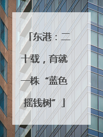 东港：二十载，育就一株“蓝色摇钱树”