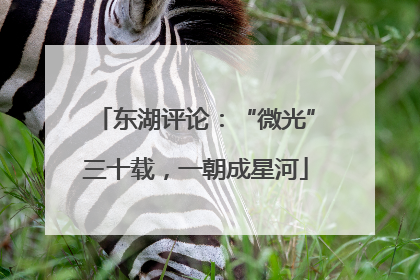 东湖评论：“微光”三十载，一朝成星河