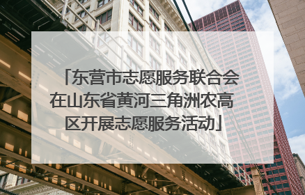 东营市志愿服务联合会在山东省黄河三角洲农高区开展志愿服务活动