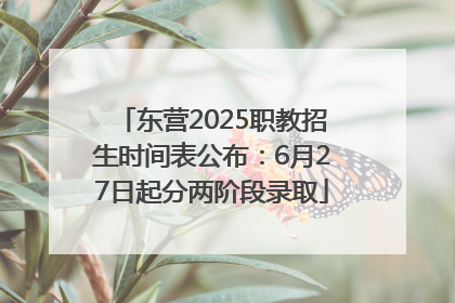 东营2025职教招生时间表公布：6月27日起分两阶段录取