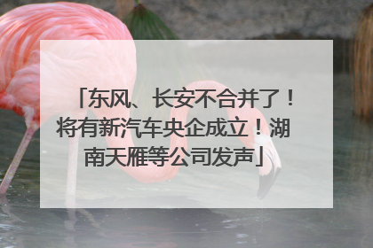 东风、长安不合并了！将有新汽车央企成立！湖南天雁等公司发声