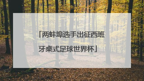 两蚌埠选手出征西班牙桌式足球世界杯