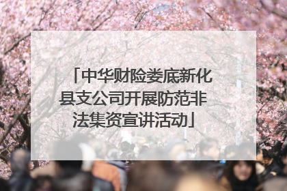 中华财险娄底新化县支公司开展防范非法集资宣讲活动
