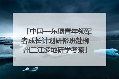 中国—东盟青年领军者成长计划研修班赴柳州三江多地研学考察