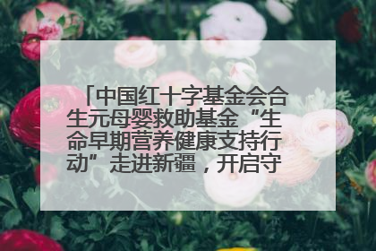 中国红十字基金会合生元母婴救助基金“生命早期营养健康支持行动”走进新疆，开启守护母婴新篇章！