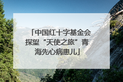 中国红十字基金会探望“天使之旅”青海先心病患儿