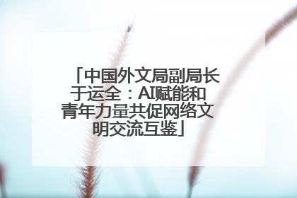 中国外文局副局长于运全：AI赋能和青年力量共促网络文明交流互鉴
