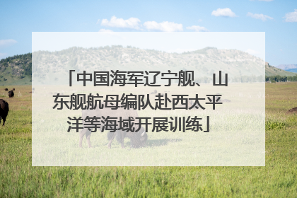 中国海军辽宁舰、山东舰航母编队赴西太平洋等海域开展训练