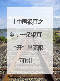 中国银耳之乡：一朵银耳“开”出无限可能