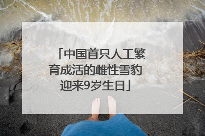 中国首只人工繁育成活的雌性雪豹迎来9岁生日
