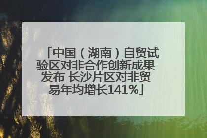 中国（湖南）自贸试验区对非合作创新成果发布 长沙片区对非贸易年均增长141%