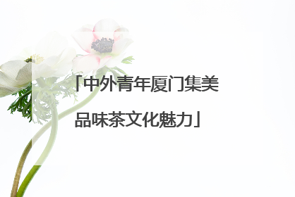 中外青年厦门集美品味茶文化魅力