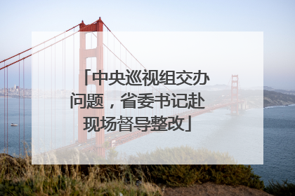中央巡视组交办问题，省委书记赴现场督导整改