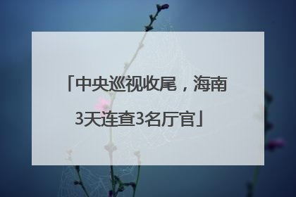 中央巡视收尾，海南3天连查3名厅官