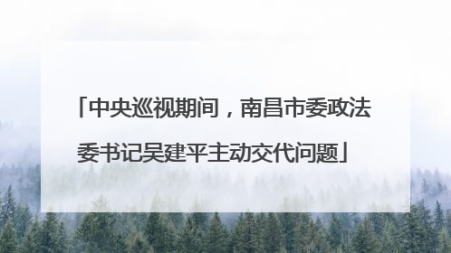 中央巡视期间，南昌市委政法委书记吴建平主动交代问题