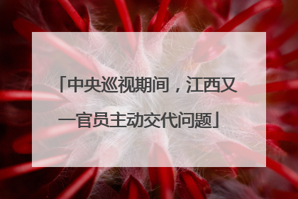 中央巡视期间，江西又一官员主动交代问题