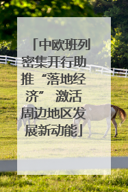 中欧班列密集开行助推“落地经济” 激活周边地区发展新动能
