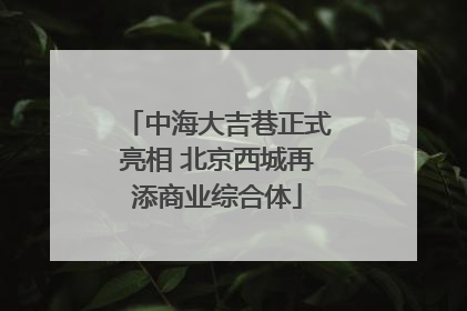 中海大吉巷正式亮相 北京西城再添商业综合体