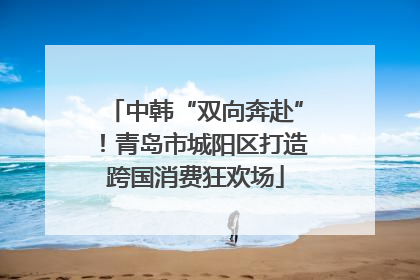 中韩“双向奔赴”！青岛市城阳区打造跨国消费狂欢场