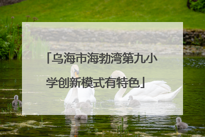乌海市海勃湾第九小学创新模式有特色