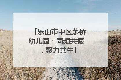 乐山市中区茅桥幼儿园：同频共振，聚力共生