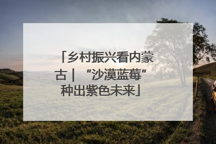 乡村振兴看内蒙古｜“沙漠蓝莓”种出紫色未来