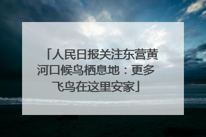 人民日报关注东营黄河口候鸟栖息地：更多飞鸟在这里安家