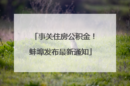 事关住房公积金！蚌埠发布最新通知