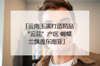 云南玉溪打造精品“云花”产区 蝴蝶兰飘香东南亚