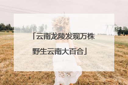 云南龙陵发现万株野生云南大百合