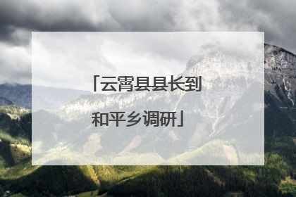 云霄县县长到和平乡调研