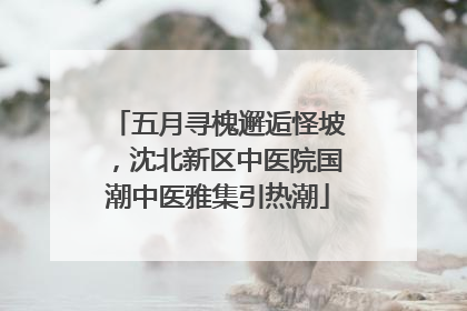 五月寻槐邂逅怪坡，沈北新区中医院国潮中医雅集引热潮