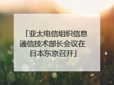 亚太电信组织信息通信技术部长会议在日本东京召开