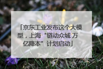 京东工业发布这个大模型，上海“链动众城 万亿降本”计划启动