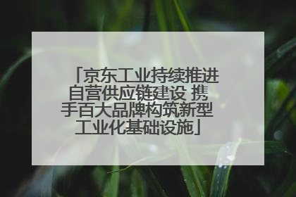 京东工业持续推进自营供应链建设 携手百大品牌构筑新型工业化基础设施