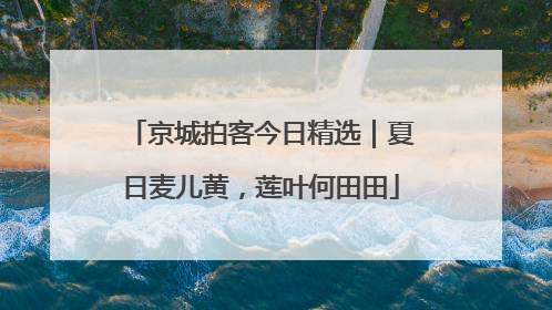 京城拍客今日精选｜夏日麦儿黄，莲叶何田田
