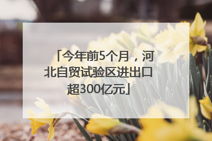 今年前5个月，河北自贸试验区进出口超300亿元