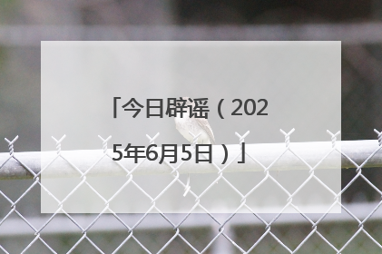 今日辟谣（2025年6月5日）
