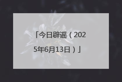今日辟谣（2025年6月13日）
