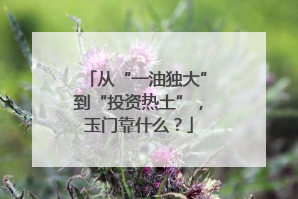 从“一油独大”到“投资热土”，玉门靠什么？