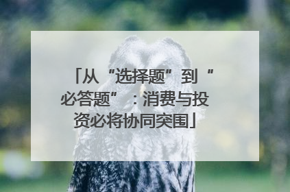 从“选择题”到“必答题”：消费与投资必将协同突围