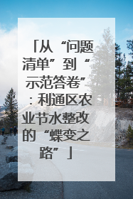 从“问题清单”到“示范答卷”：利通区农业节水整改的“蝶变之路”