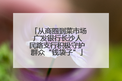 从商圈到菜市场 广发银行长沙人民路支行积极守护群众“钱袋子”