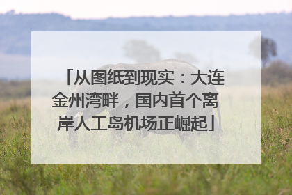 从图纸到现实：大连金州湾畔，国内首个离岸人工岛机场正崛起