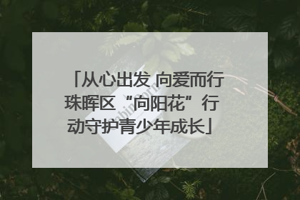 从心出发 向爱而行 珠晖区“向阳花”行动守护青少年成长