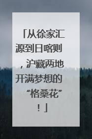 从徐家汇源到日喀则，沪藏两地开满梦想的“格桑花”！