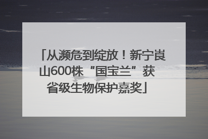 从濒危到绽放！新宁崀山600株“国宝兰”获省级生物保护嘉奖